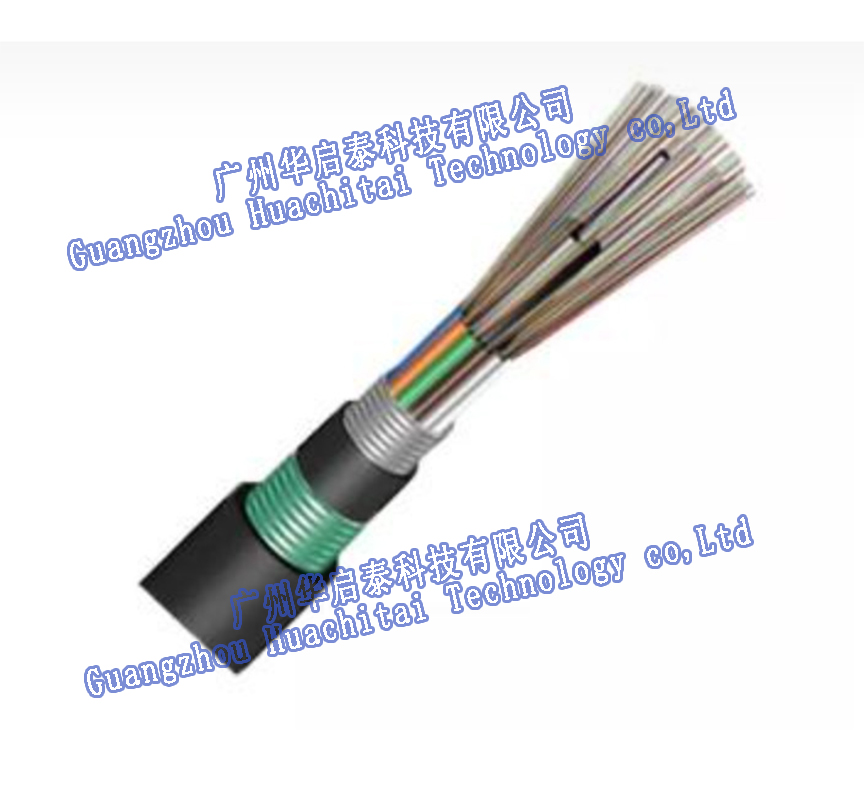 Anti-rat Bite Cable
